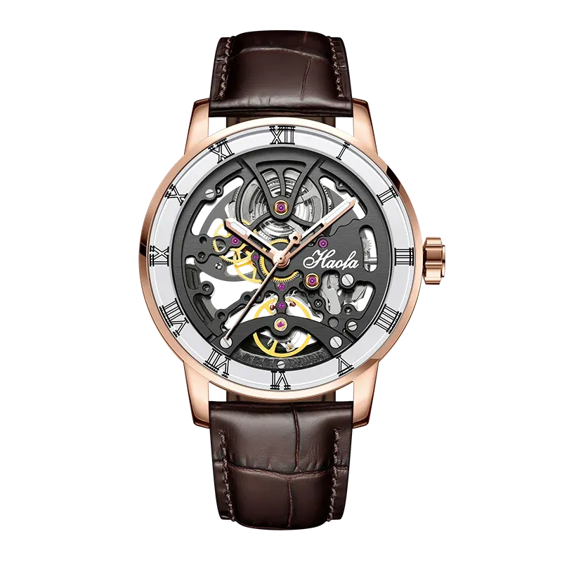 Luxury Sapphire Skeleton Automatic Mechanical Waterproof Business Watch for Men